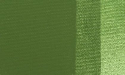 Acrylic paint Maestro Pan 45ml. - Chrome oxide green 255