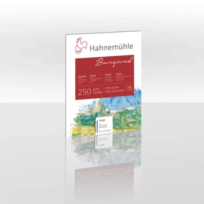 Sketchbook HAHNEMUHLE BURGUND ROUGH 250 GR 24x32 CM, 20 sheets
