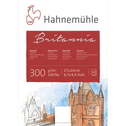 Скицник HAHNEMUHLE BRITANNIA MAT  300 гр. 17х24 см, 12 листа