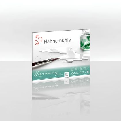 Sketchbook HAHNEMUHLE HARMONY SATINIERT 24х30cm., 300gr., 12sheets