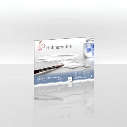 Скицник HAHNEMUHLE HARMONY A4, 300 гр., 12 листа