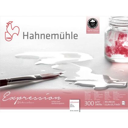 100% ПАМУК Скицник HAHNEMUHLE HARMONY 30/40СМ, 300ГР, 12Л.