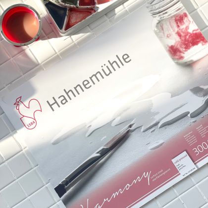 Sketchbook HAHNEMUHLE HARMONY A3 size, 300 gr., 12 sheets