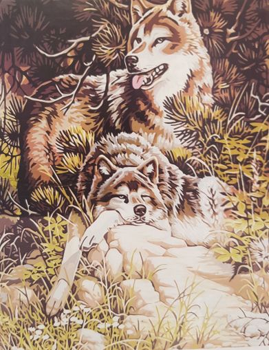 Painting by numbers 40x50cm. - Wolves