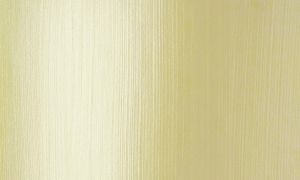 Decor-acryl 50ml. - Light gold 06