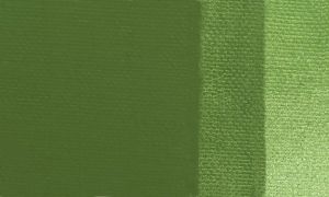 Acrylic paint Maestro Pan 45ml. - Chrome oxide green 255