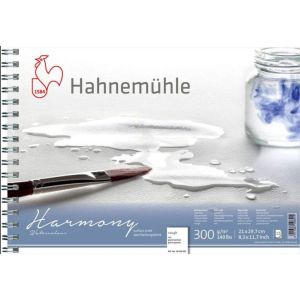 Скицник HAHNEMUHLE HARMONY A4, 300 гр., 12 листа