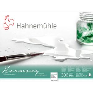 Sketchbook HAHNEMUHLE HARMONY SATINIERT 30/40cm., 300gr., 12sheets