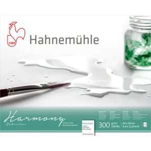 Sketchbook HAHNEMUHLE HARMONY SATINIERT 24х30cm., 300gr., 12sheets
