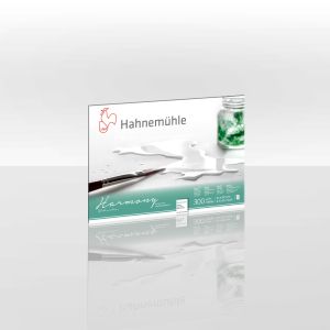 Скицник HAHNEMUHLE HARMONY A4, 300 гр., 12 листа