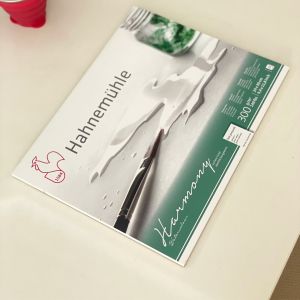 Sketchbook HAHNEMUHLE HARMONY A3 size, 300 gr., 12 sheets