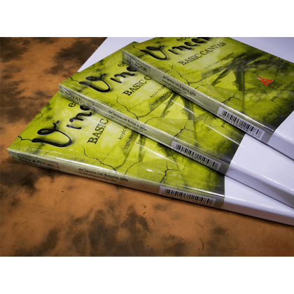 Stretched canvas 30x40 cm. VINCENT ECO