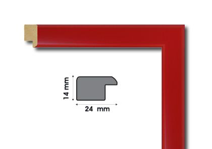 Frame moulding - E2031
