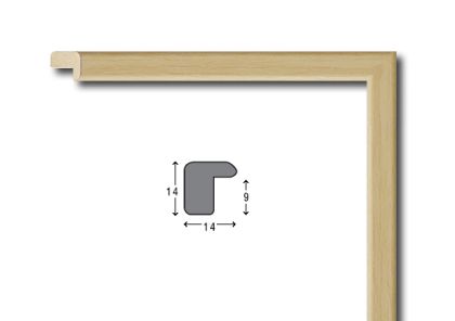 Frame moulding - E1016