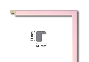 Frame moulding - E1055