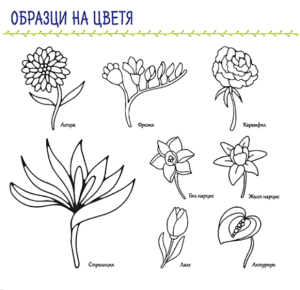 Скритият език на цветята