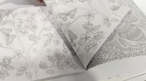 Coloring book - I Love the Colors of Bees (Mini)