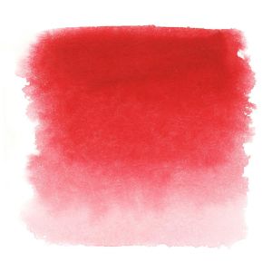 Watercolour White Nights - Ruby 323